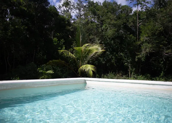 Ama-gi Holistic Puerto Morelos
